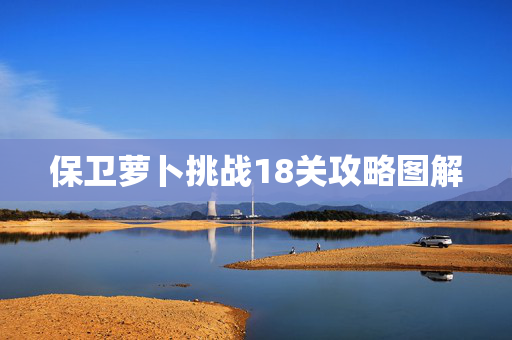 保卫萝卜挑战18关攻略图解 保卫萝卜挑战18关攻略图解