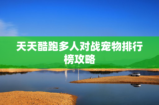 天天酷跑多人对战宠物排行榜攻略