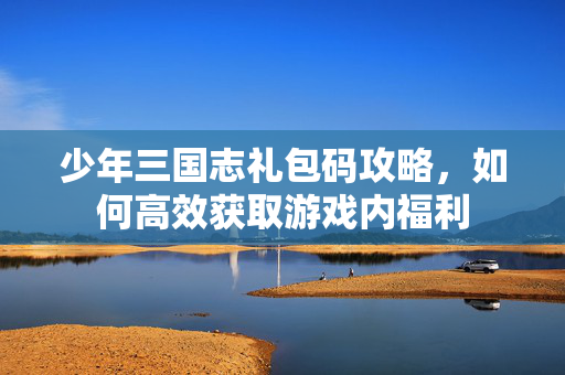 少年三国志礼包码攻略，如何高效获取游戏内福利