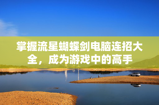 掌握流星蝴蝶剑电脑连招大全,成为游戏中的高手 掌握流星蝴蝶剑电脑连招大全,成为游戏中的高手