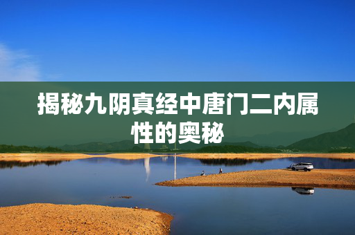 揭秘九阴真经中唐门二内属性的奥秘 揭秘九阴真经中唐门二内属性的奥秘