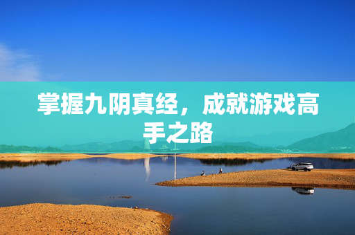 掌握九阴真经，成就游戏高手之路