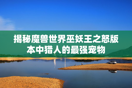 揭秘魔兽世界巫妖王之怒版本中猎人的最强宠物