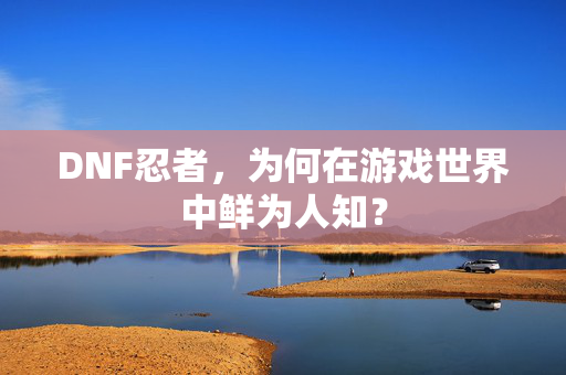 DNF忍者,为何在游戏世界中鲜为人知? DNF忍者,为何在游戏世界中鲜为人知?