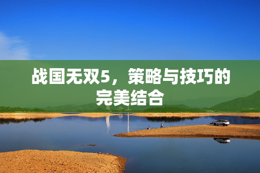 战国无双5,策略与技巧的完美结合 战国无双5,策略与技巧的完美结合