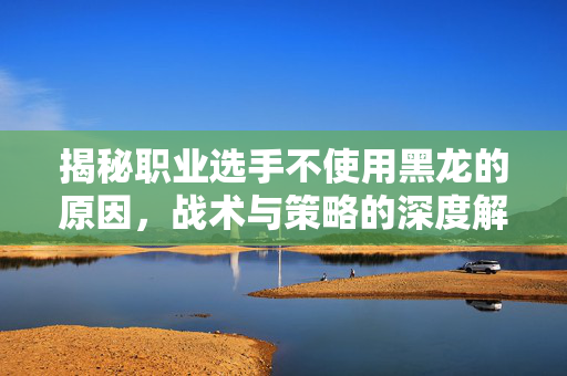 揭秘职业选手不使用黑龙的原因,战术与策略的深度解析 揭秘职业选手不使用黑龙的原因,战术与策略的深度解析