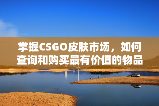 掌握CSGO皮肤市场，如何查询和购买最有价值的物品