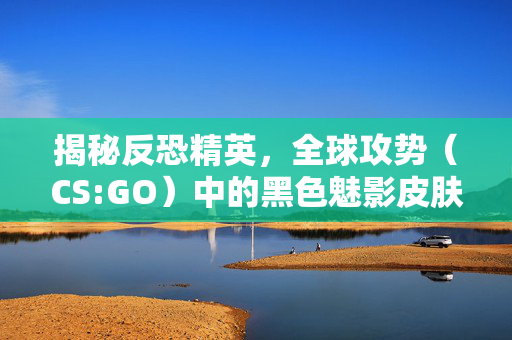 揭秘反恐精英,全球攻势(CS:GO)中的黑色魅影皮肤价值 揭秘反恐精英,全球攻势(CS:GO)中的黑色魅影皮肤价值