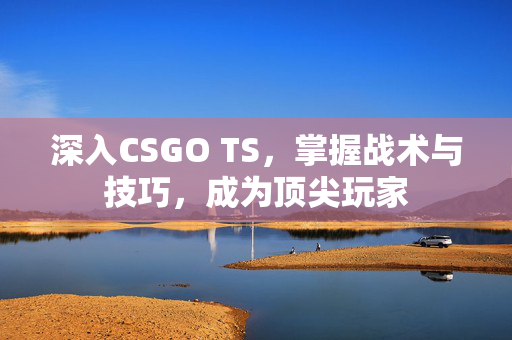 深入CSGO TS,掌握战术与技巧,成为顶尖玩家 深入CSGO TS,掌握战术与技巧,成为顶尖玩家