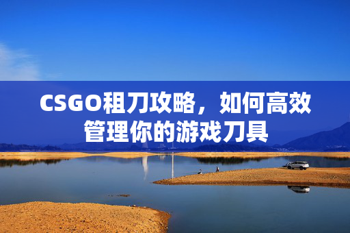 CSGO租刀攻略,如何高效管理你的游戏刀具 CSGO租刀攻略,如何高效管理你的游戏刀具