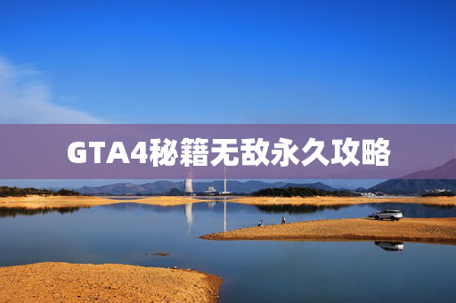 GTA4秘籍无敌永久攻略