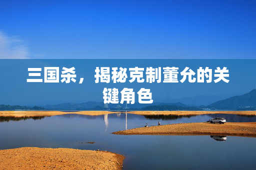 三国杀，揭秘克制董允的关键角色