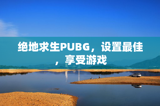 绝地求生PUBG，设置最佳，享受游戏
