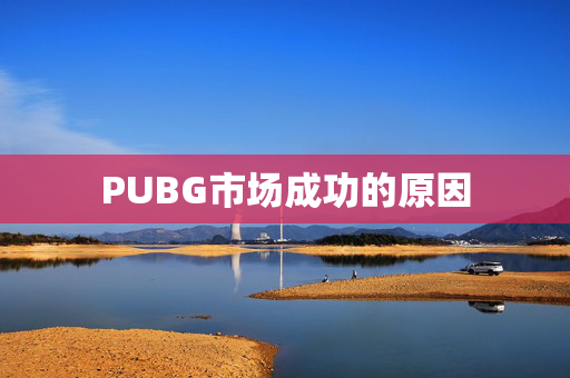 PUBG市场成功的原因 PUBG市场成功的原因