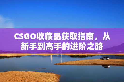 CSGO收藏品获取指南，从新手到高手的进阶之路