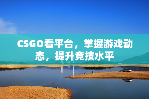 CSGO看平台，掌握游戏动态，提升竞技水平