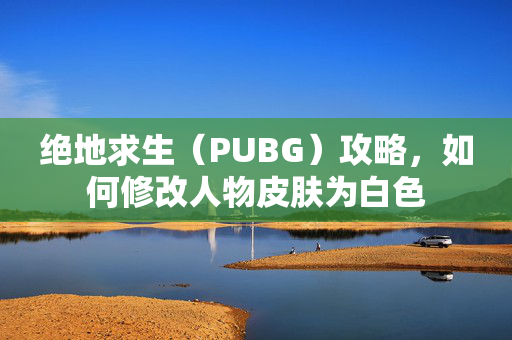 绝地求生（PUBG）攻略，如何修改人物皮肤为白色