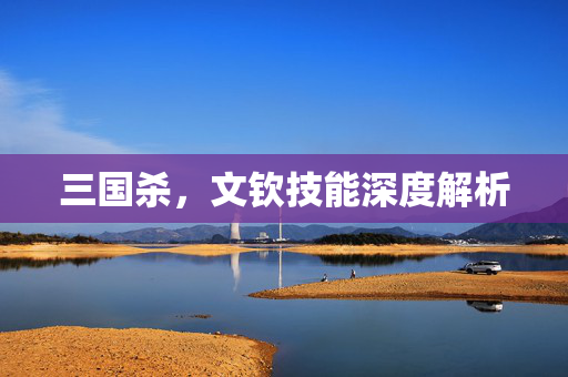 三国杀，文钦技能深度解析