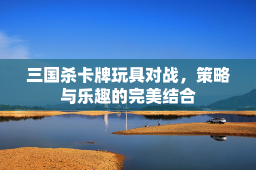 三国杀卡牌玩具对战，策略与乐趣的完美结合