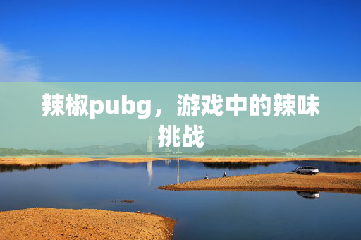 辣椒pubg，游戏中的辣味挑战