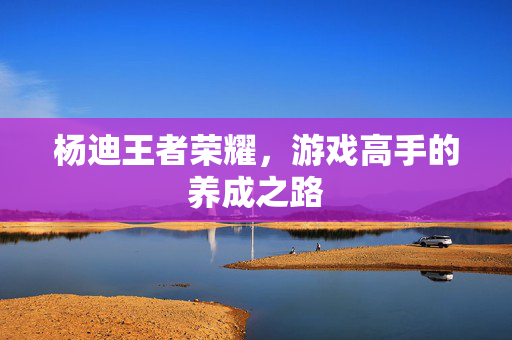 杨迪王者荣耀，游戏高手的养成之路