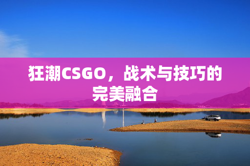 狂潮CSGO，战术与技巧的完美融合