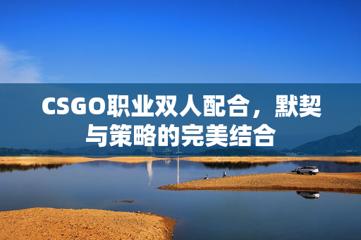 CSGO职业双人配合，默契与策略的完美结合