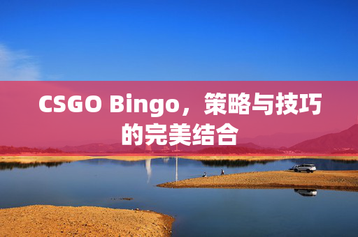 CSGO Bingo，策略与技巧的完美结合