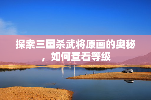 探索三国杀武将原画的奥秘，如何查看等级