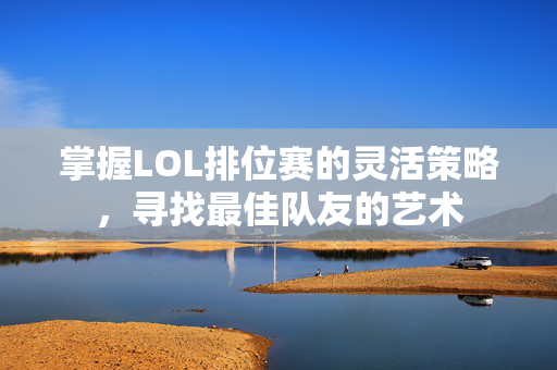 掌握LOL排位赛的灵活策略，寻找最佳队友的艺术