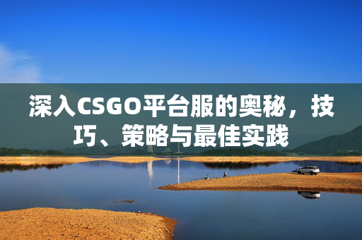 深入CSGO平台服的奥秘，技巧、策略与最佳实践