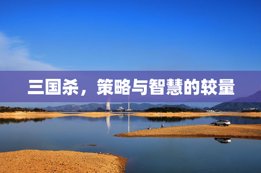 三国杀，策略与智慧的较量