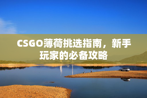 CSGO薄荷挑选指南，新手玩家的必备攻略