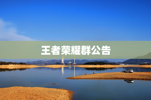 王者荣耀群公告