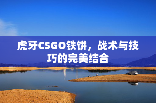 虎牙CSGO铁饼，战术与技巧的完美结合
