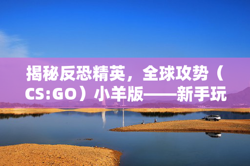 揭秘反恐精英，全球攻势（CS:GO）小羊版——新手玩家的入门指南