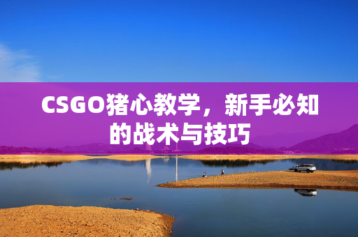 CSGO猪心教学，新手必知的战术与技巧