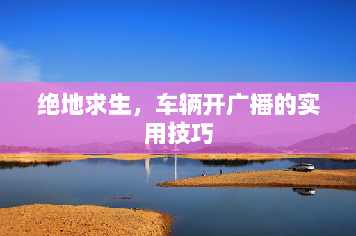 绝地求生，车辆开广播的实用技巧