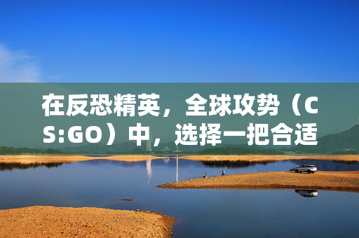 在反恐精英，全球攻势（CS:GO）中，选择一把合适的刀对于提高你的游戏表现至关重要。以下是一些建议，帮助你在购买1000元预算的刀时做出明智的选择