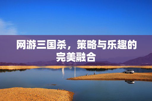 网游三国杀,策略与乐趣的完美融合 网游三国杀,策略与乐趣的完美融合
