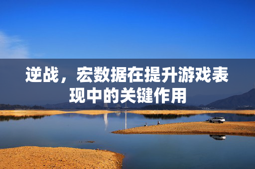 逆战，宏数据在提升游戏表现中的关键作用