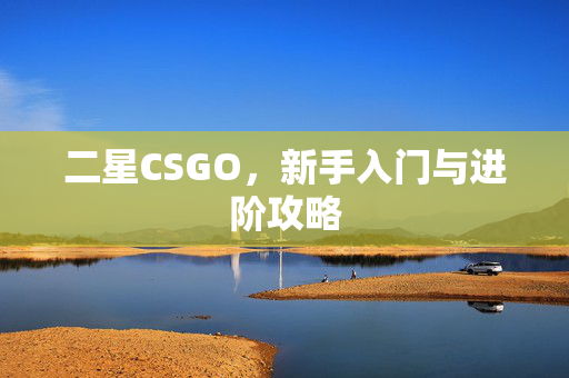 二星CSGO，新手入门与进阶攻略