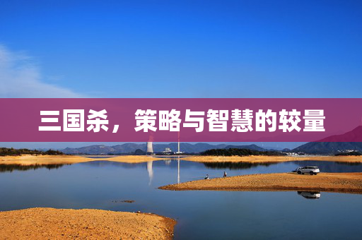 三国杀，策略与智慧的较量