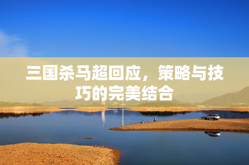 三国杀马超回应，策略与技巧的完美结合