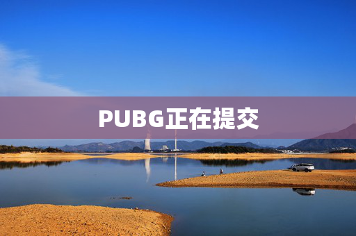 PUBG正在提交