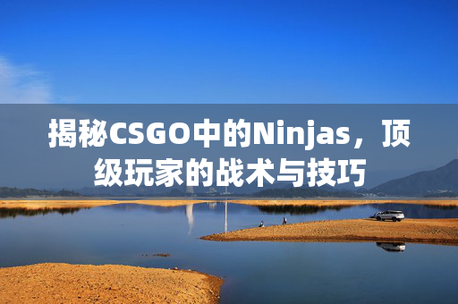 揭秘CSGO中的Ninjas，顶级玩家的战术与技巧