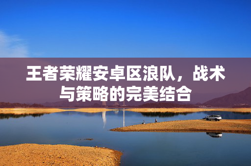 王者荣耀安卓区浪队,战术与策略的完美结合 王者荣耀安卓区浪队,战术与策略的完美结合