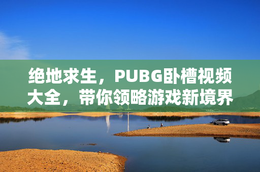 绝地求生，PUBG卧槽视频大全，带你领略游戏新境界！
