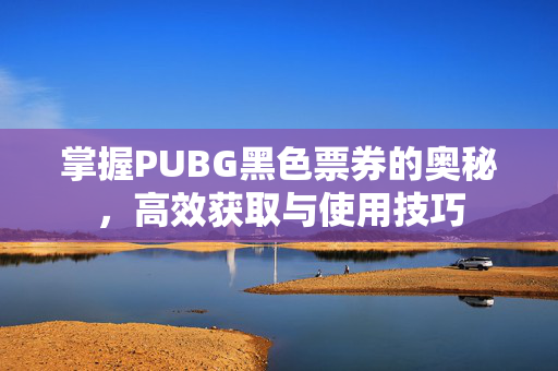 掌握PUBG黑色票券的奥秘,高效获取与使用技巧 掌握PUBG黑色票券的奥秘,高效获取与使用技巧