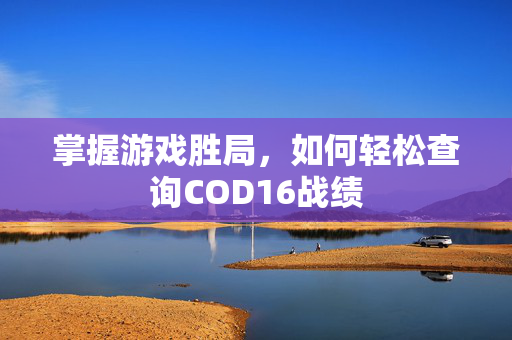 掌握游戏胜局，如何轻松查询COD16战绩